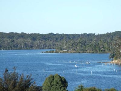 Lot 14, Lot 14 Yowaka River Road, South Pambula