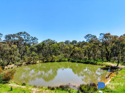 193 Kangaroo Gully Road, Kangaroo Flat