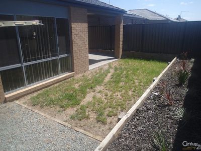 17 Paso Grove, Clyde North