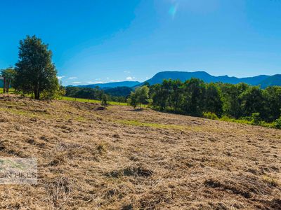 46 KIRKLAND ROAD, Nimbin
