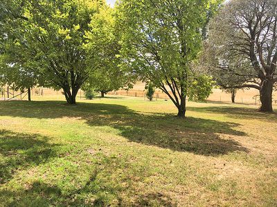 668 Barry Road, Neville