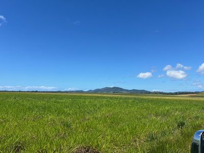 Bruce Highway, Daveson