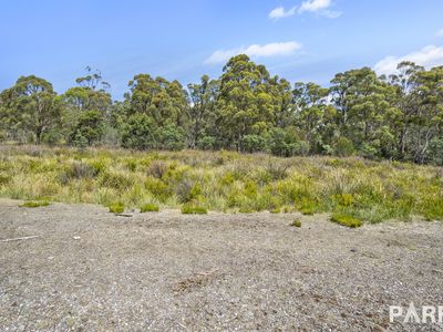 2235 East Tamar Highway, Mount Direction