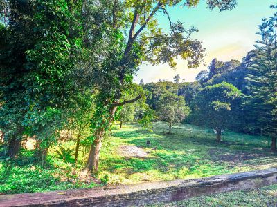 90 Anderson Road, Nimbin