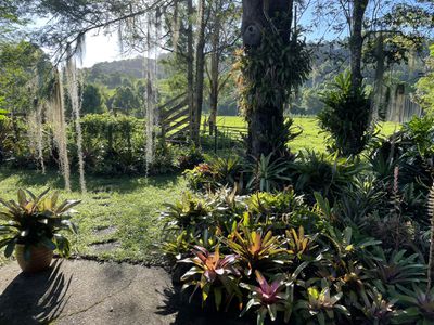 447 Terania Creek Road, Terania Creek