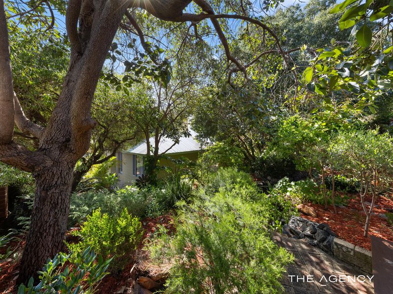 59 Curven Road, Hamilton Hill