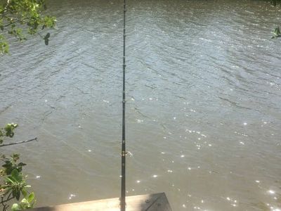 31 Slaughter Yard Road, Cooktown