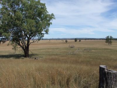 4096 Goolhi Road, Gunnedah