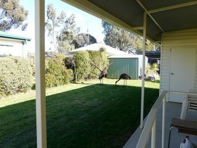 Tocumwal