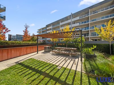 83 / 40 Philip Hodgins Street, Wright