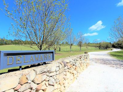310 Curly Dick Road, Meadow Flat