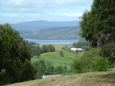 124 Dillons Hill Road, Cygnet