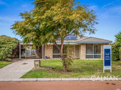 56 Woodhouse Circuit, Canning Vale