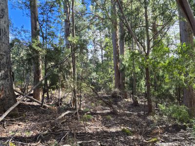 Lot 2, Off Paddys Lane, Franklin