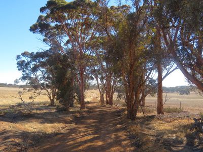 24804 / Mawson Doodenanning Road Balkuling, Quairading