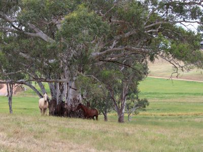 80 Owens Creek Drive, Mansfield