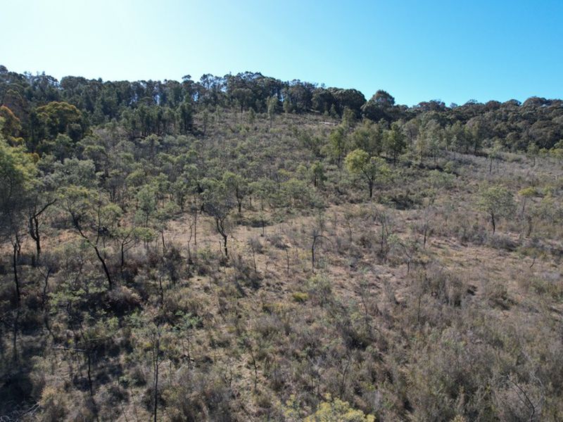 Lot 4, 1349 Aarons Pass Road, Carcalgong