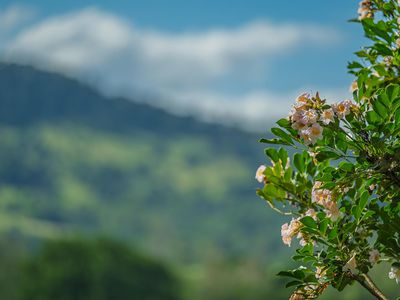 40 McGinn Road, Gheerulla