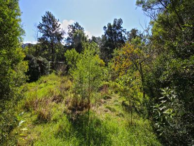 131 Moss Vale Road, Kangaroo Valley