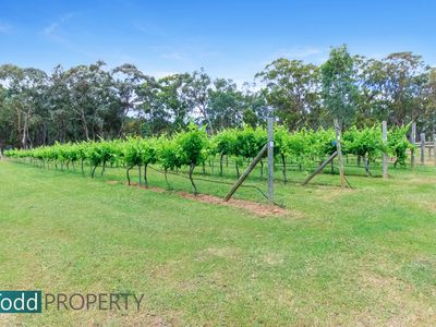 91 Tehan Court, Heathcote