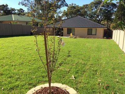 22 Watt Street, Windermere Park