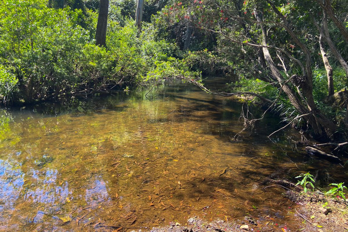 231 Little Run Road, Wherrol Flat