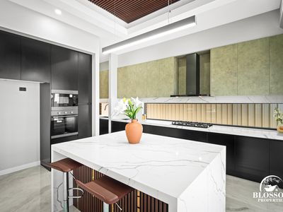16 Sculptor Street, Box Hill