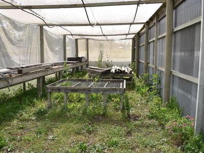 63-67 Thomas Drive, Mount Burr