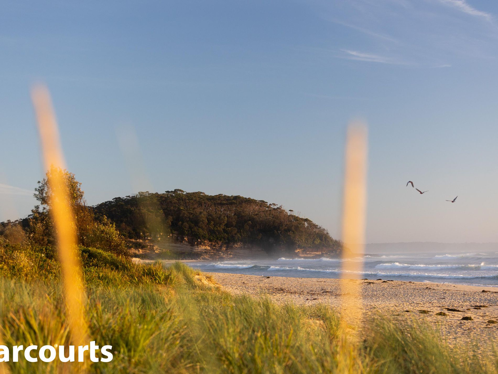 7 Scorpio Grove, Narrawallee