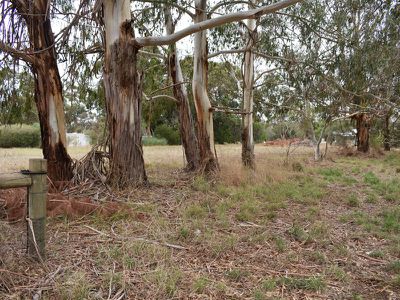 Lot 22, Rendelsham Road, Millicent