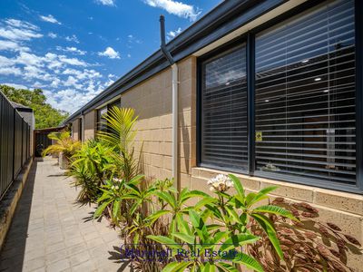 1 Willard Cct, Banksia Grove