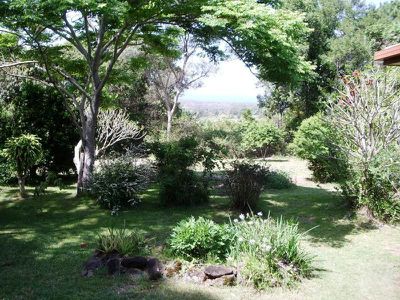 82 The Saddle Road, Brunswick Heads