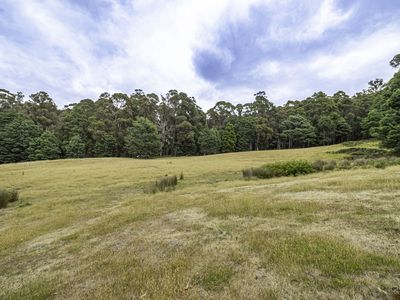 Lot 2, Fyfes Road, Mountain River