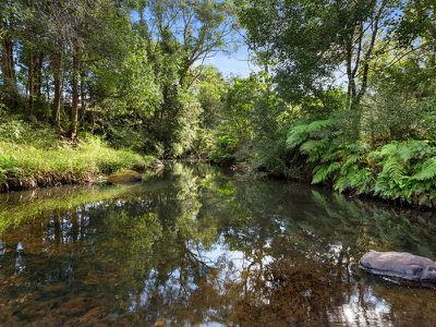 1242 Tuntable Creek Road, Nimbin