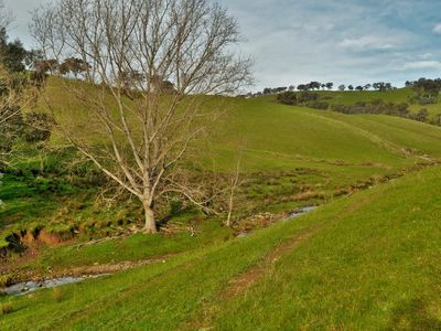 Bottom Creek - Sirls Road, Bethanga