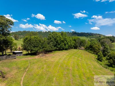 447 Terania Creek Road, Terania Creek