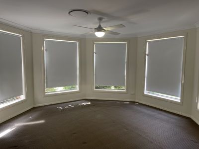 25 Hibiscus Way, Tamworth