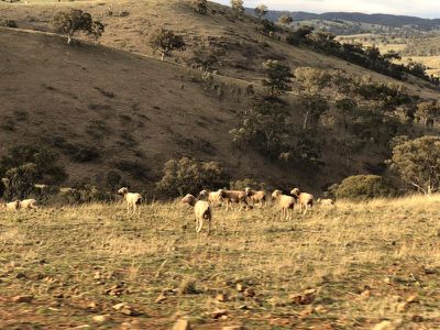 5342 Ilford Sofala Road, Sofala