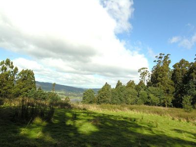 Rankin Road, Franklin