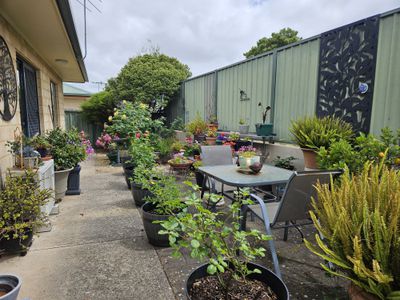 7 Julie Anne Court, Millicent