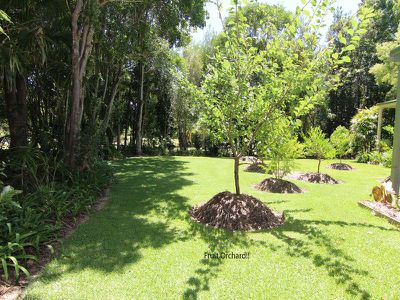 47 Carmona Drive, Forster