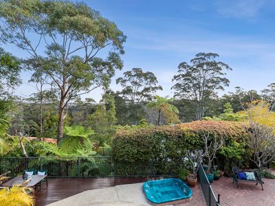 17 Allworth Drive, Davidson