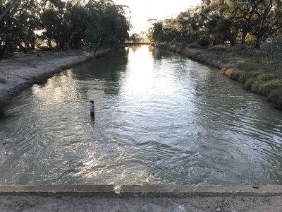 Balpool Road, Moulamein