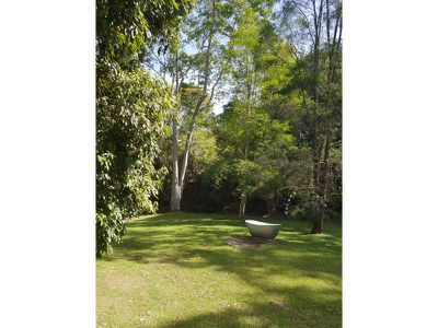 643 Tuntable Creek Road, Tuntable Creek