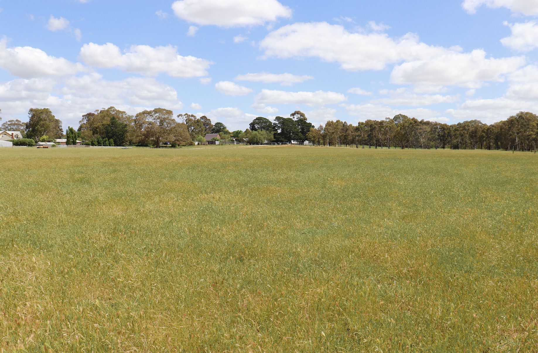 Lot 10, Cambridge Street, Inverleigh