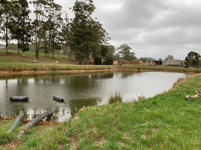 161 Coopers Lane, Wynyard