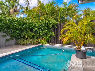 33 CARTAGENA LANE, Coombabah