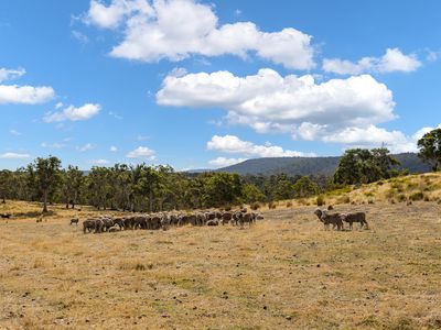 1350 Honeysuckle Road, Tooms Lake