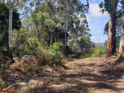 Lot 4 Holmes Road, Ellendale