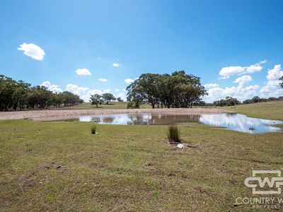 Lot 7, - Emmaville Rd, Emmaville